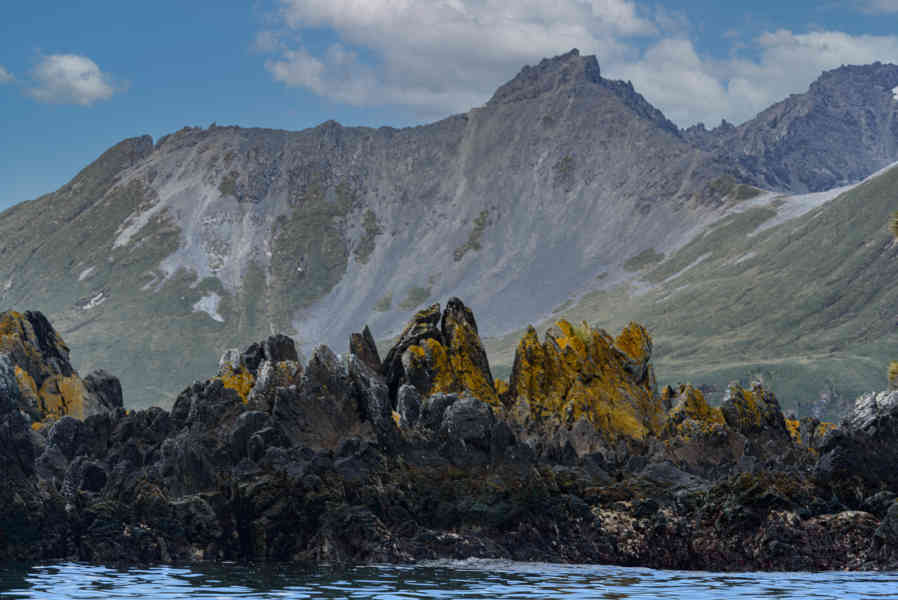 Islas Georgias del Sur 095.jpg